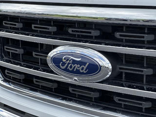 2022 Ford F-150 Vehicle Photo in TEMPLE, TX 76504-3447