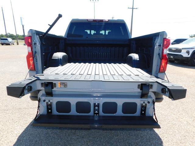 2024 Chevrolet Silverado 1500 Vehicle Photo in GATESVILLE, TX 76528-2745