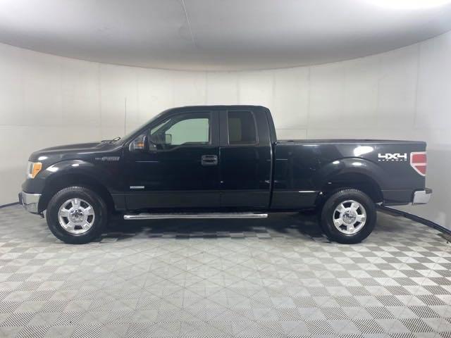 2014 Ford F-150 Vehicle Photo in MEDINA, OH 44256-9001