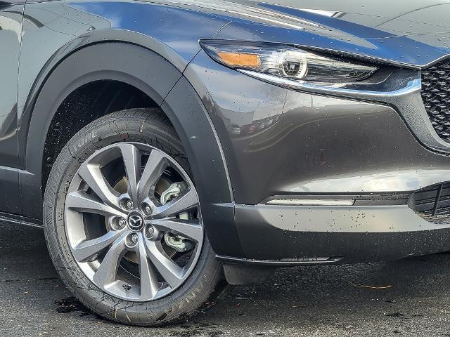 2025 Mazda CX-30 Vehicle Photo in Plainfield, IL 60586