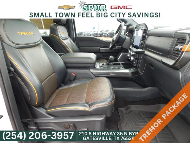 2023 Ford F-150 Vehicle Photo in GATESVILLE, TX 76528-2745