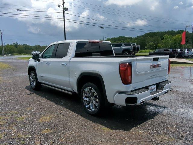 2024 GMC Sierra 1500 Vehicle Photo in ALBERTVILLE, AL 35950-0246