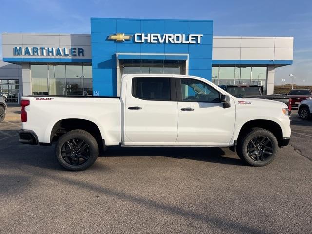 2025 Chevrolet Silverado 1500 Vehicle Photo in GLENWOOD, MN 56334-1123