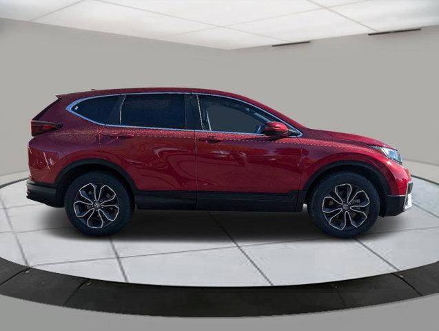 2022 Honda CR-V Vehicle Photo in Greeley, CO 80634-8763