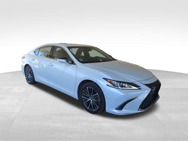 2022 Lexus ES Vehicle Photo in DELRAY BEACH, FL 33483-3294