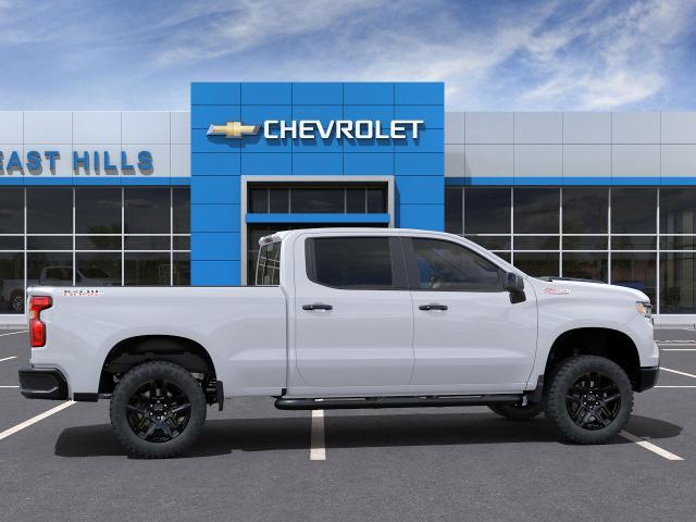 2024 Chevrolet Silverado 1500 Vehicle Photo in FREEPORT, NY 11520-3923