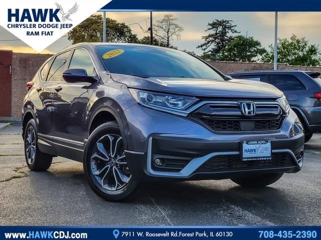 2020 Honda CR-V Vehicle Photo in Plainfield, IL 60586