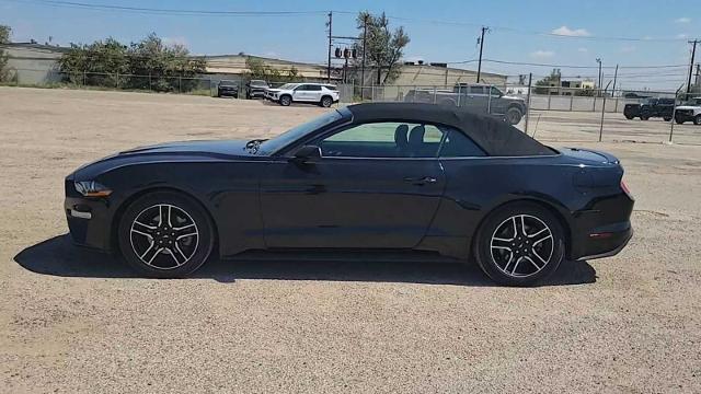 2022 Ford Mustang Vehicle Photo in MIDLAND, TX 79703-7718