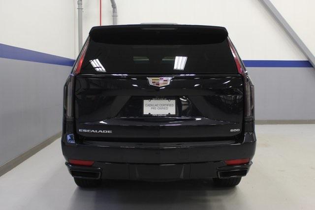 2023 Cadillac Escalade Vehicle Photo in White Plains, NY 10601