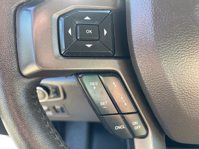 2019 Ford Expedition Vehicle Photo in Terrell, TX 75160