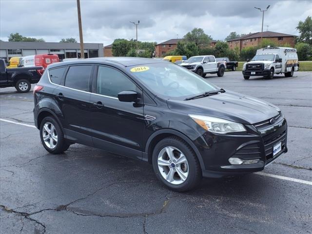 2014 Ford Escape Vehicle Photo in Saint Charles, IL 60174