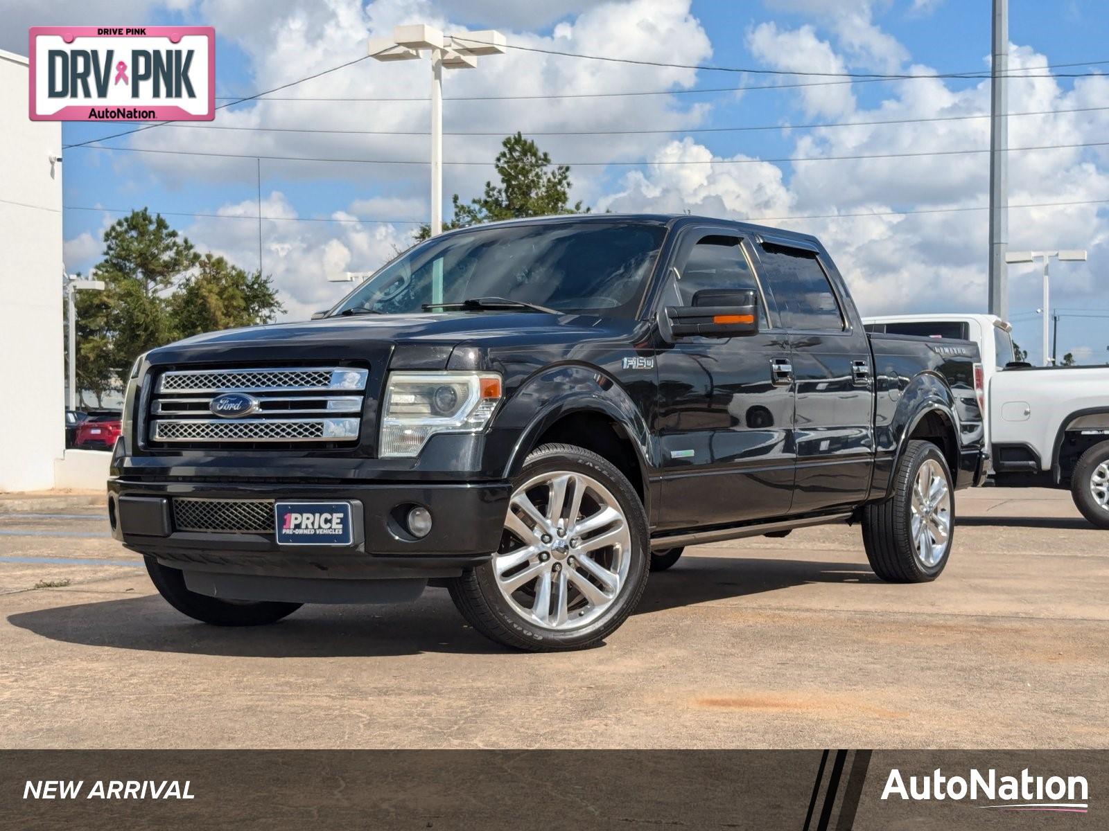 2013 Ford F-150 Vehicle Photo in HOUSTON, TX 77034-5009