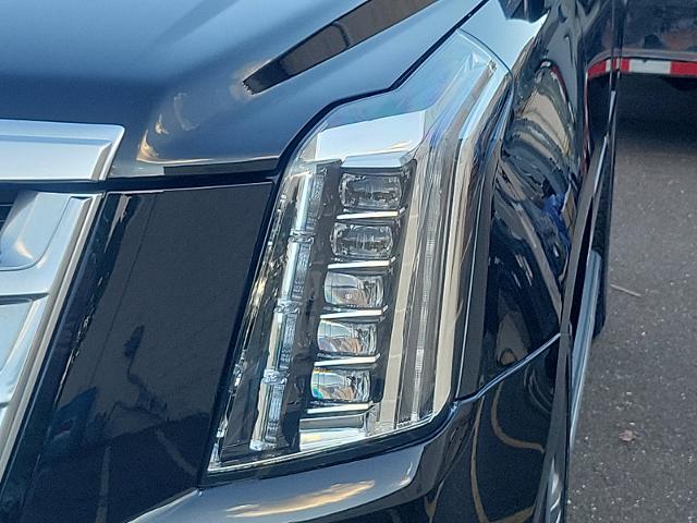 2019 Cadillac Escalade Vehicle Photo in TREVOSE, PA 19053-4984