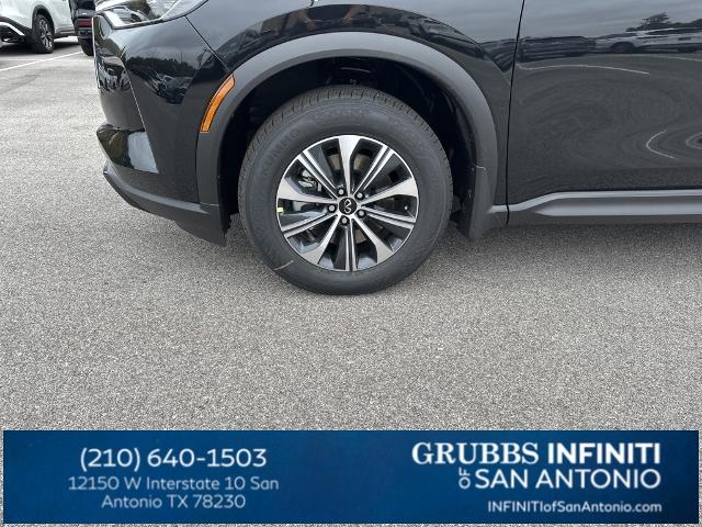 2024 INFINITI QX60 Vehicle Photo in San Antonio, TX 78230