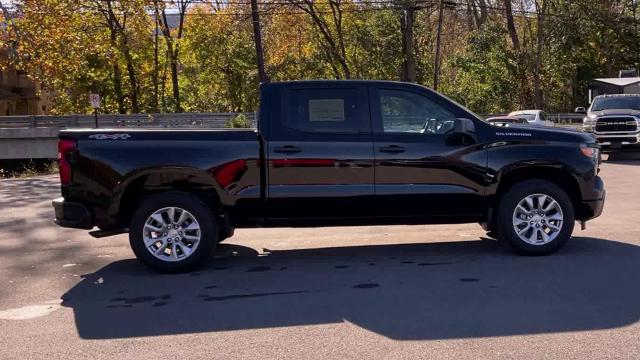 2024 Chevrolet Silverado 1500 Vehicle Photo in THOMPSONTOWN, PA 17094-9014