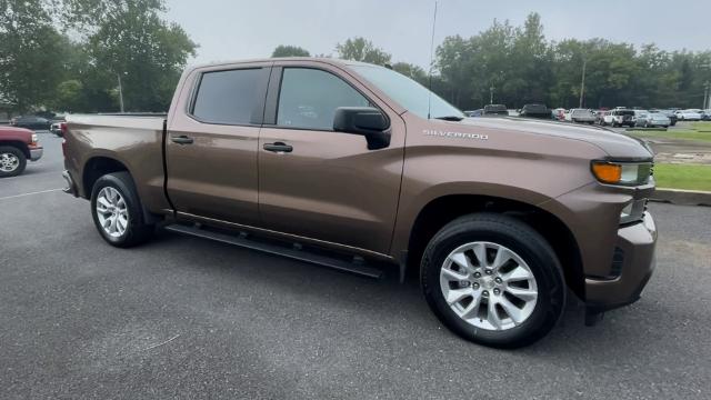 2019 Chevrolet Silverado 1500 Vehicle Photo in THOMPSONTOWN, PA 17094-9014