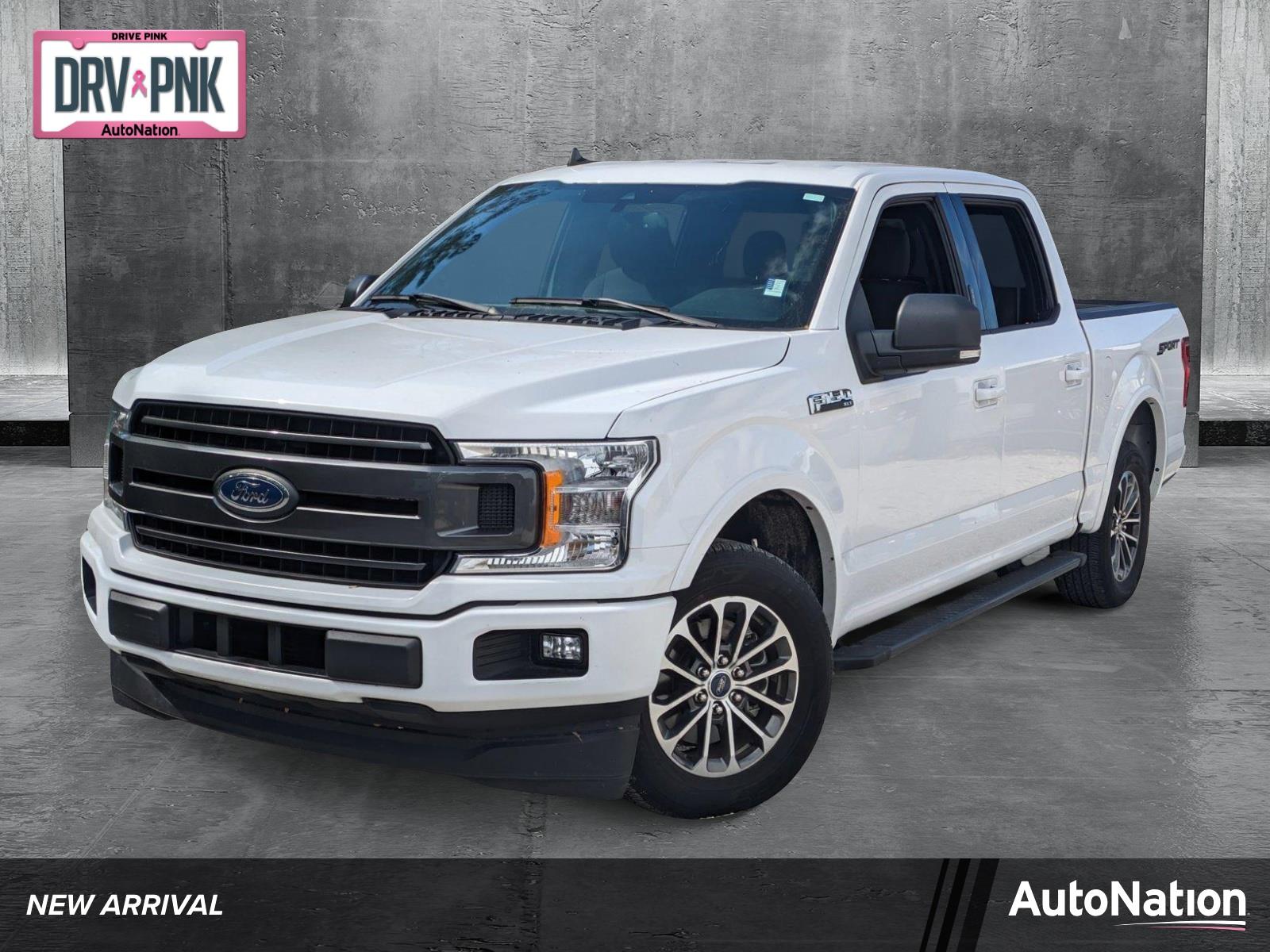 2019 Ford F-150 Vehicle Photo in Bradenton, FL 34207