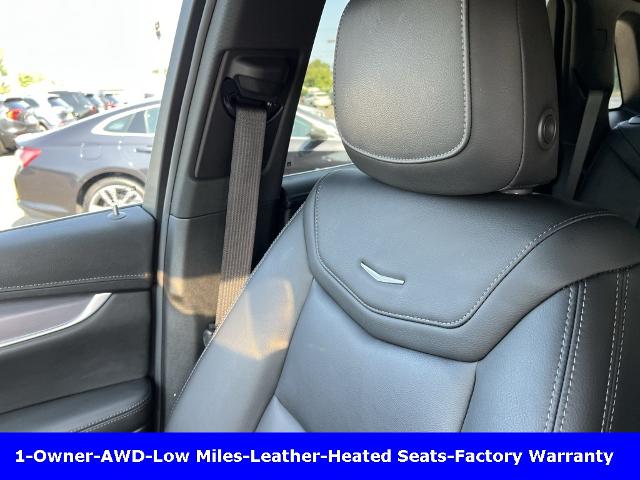 2021 Cadillac XT5 Vehicle Photo in CHICOPEE, MA 01020-5001