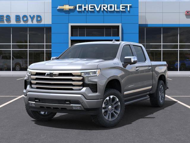 2025 Chevrolet Silverado 1500 Vehicle Photo in HENDERSON, NC 27536-2966