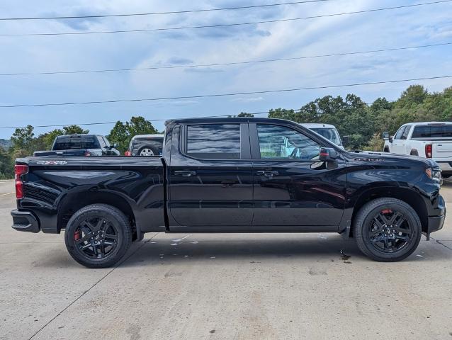 2024 Chevrolet Silverado 1500 Vehicle Photo in POMEROY, OH 45769-1023