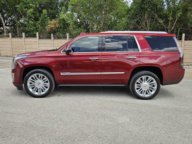 2016 Cadillac Escalade Vehicle Photo in San Antonio, TX 78230