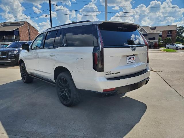 2022 Cadillac Escalade Vehicle Photo in LAFAYETTE, LA 70503-4541