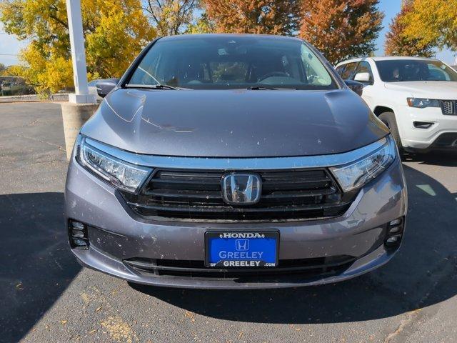 2023 Honda Odyssey Vehicle Photo in Greeley, CO 80634-8763