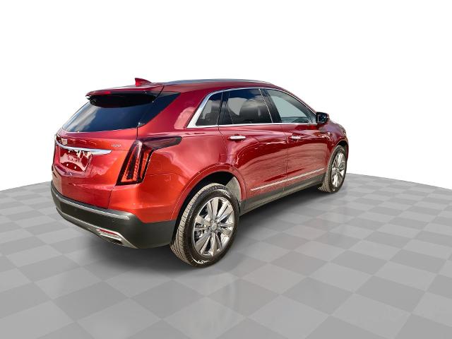 2024 Cadillac XT5 Vehicle Photo in WILLIAMSVILLE, NY 14221-2883