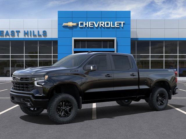 2024 Chevrolet Silverado 1500 Vehicle Photo in FREEPORT, NY 11520-3923