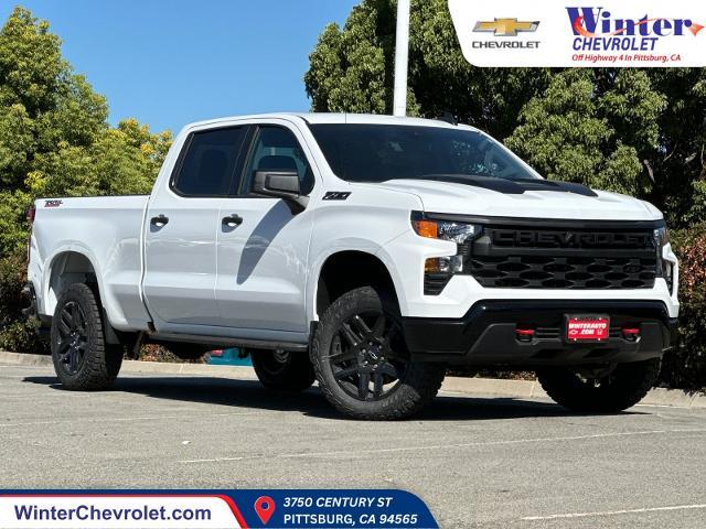 2024 Chevrolet Silverado 1500 Vehicle Photo in PITTSBURG, CA 94565-7121