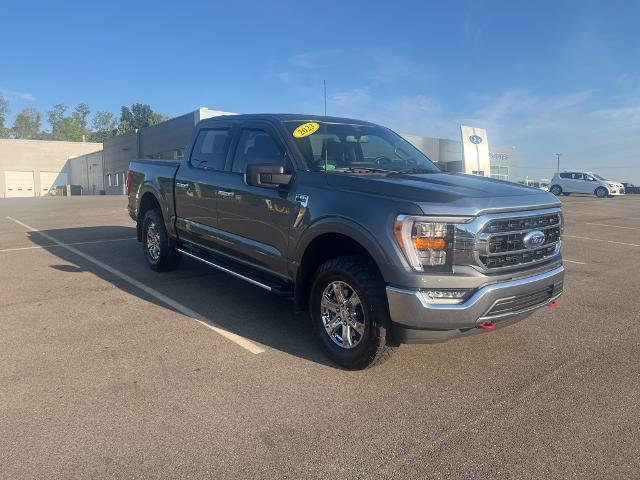 2023 Ford F-150 Vehicle Photo in Jackson, OH 45640-9766