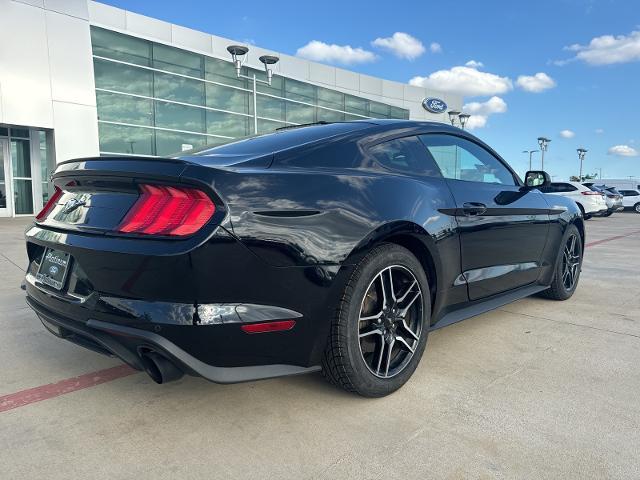 2019 Ford Mustang Vehicle Photo in Terrell, TX 75160