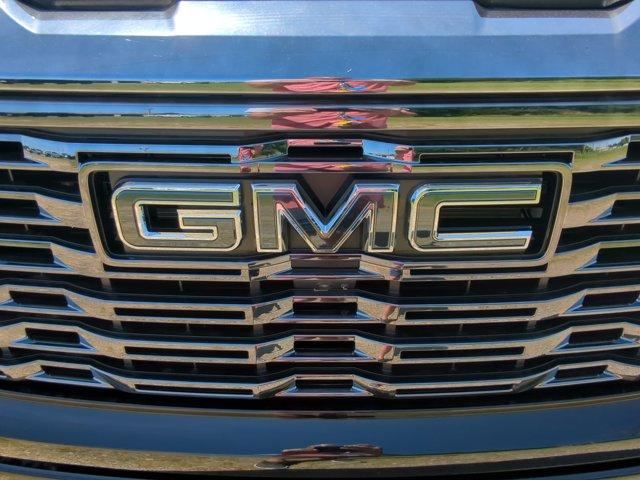 2024 GMC Sierra 1500 Vehicle Photo in ALBERTVILLE, AL 35950-0246