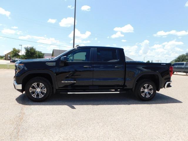 2024 GMC Sierra 1500 Vehicle Photo in GATESVILLE, TX 76528-2745