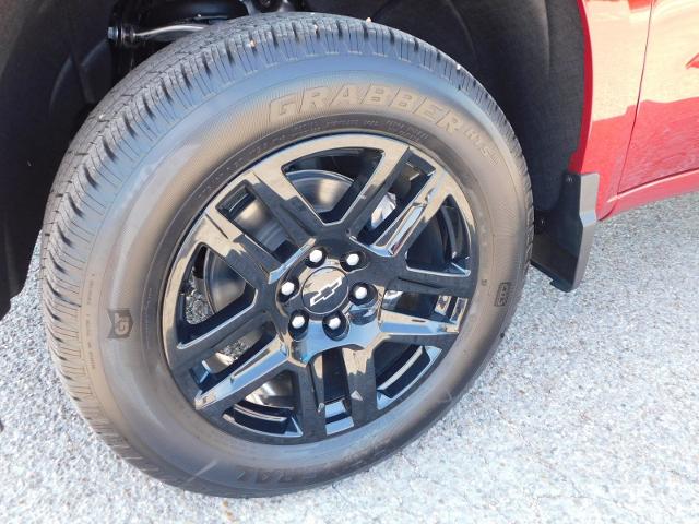 2025 Chevrolet Silverado 1500 Vehicle Photo in GATESVILLE, TX 76528-2745