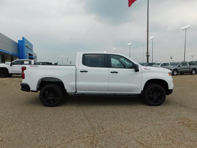 2024 Chevrolet Silverado 1500 Vehicle Photo in GATESVILLE, TX 76528-2745