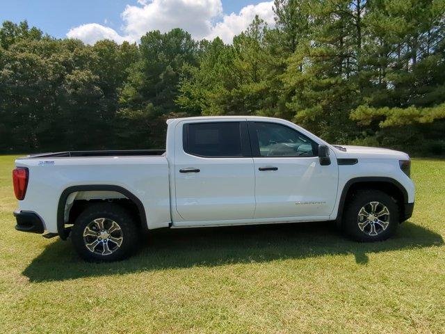 2024 GMC Sierra 1500 Vehicle Photo in ALBERTVILLE, AL 35950-0246