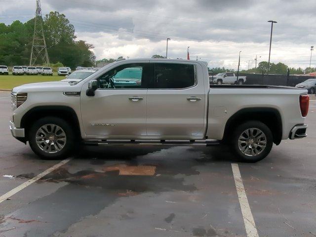 2025 GMC Sierra 1500 Vehicle Photo in ALBERTVILLE, AL 35950-0246