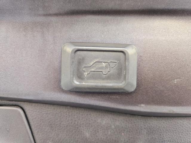 2020 Toyota RAV4 Vehicle Photo in Weatherford, TX 76087