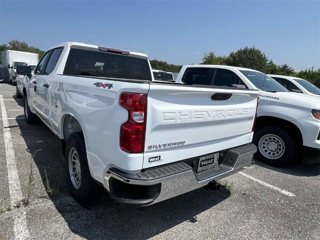 2024 Chevrolet Silverado 1500 Vehicle Photo in ALCOA, TN 37701-3235