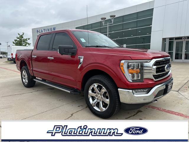 2021 Ford F-150 Vehicle Photo in Terrell, TX 75160