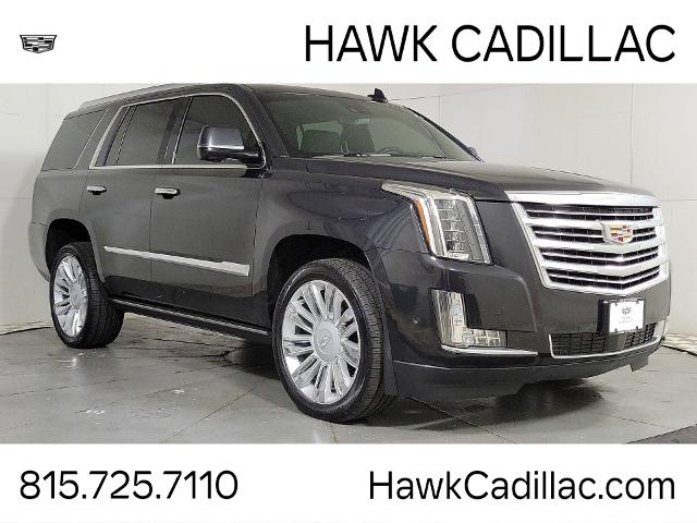 2019 Cadillac Escalade Vehicle Photo in JOLIET, IL 60435-8135