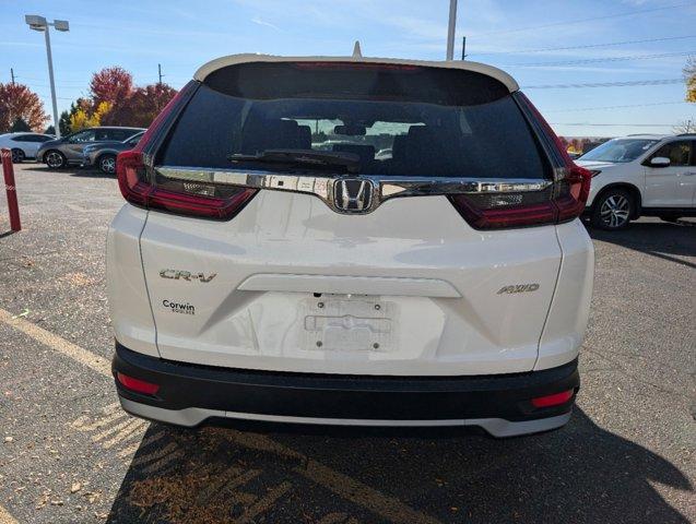 2020 Honda CR-V Vehicle Photo in Greeley, CO 80634-8763