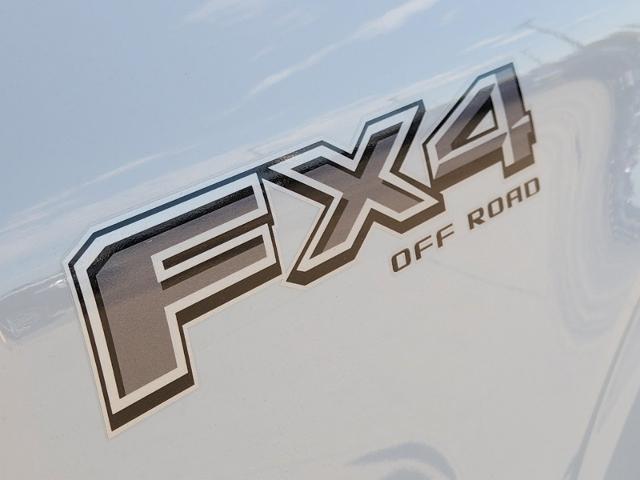 2024 Ford F-150 Vehicle Photo in Pilot Point, TX 76258-6053