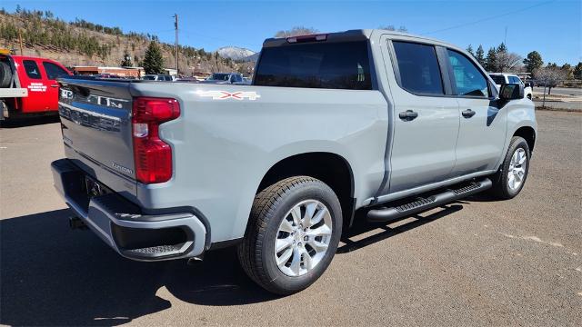 2024 Chevrolet Silverado 1500 Vehicle Photo in FLAGSTAFF, AZ 86001-6214