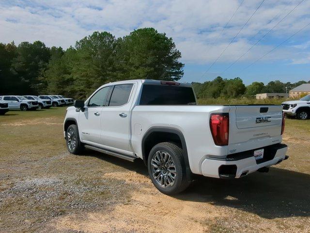 2025 GMC Sierra 1500 Vehicle Photo in ALBERTVILLE, AL 35950-0246