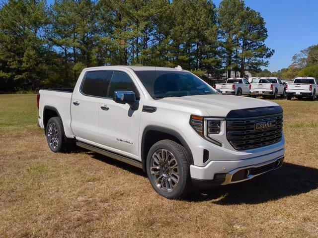 2025 GMC Sierra 1500 Vehicle Photo in ALBERTVILLE, AL 35950-0246