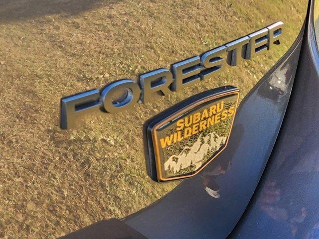 2022 Subaru Forester Vehicle Photo in DALLAS, TX 75209