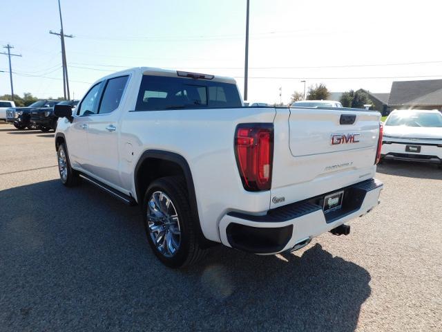 2025 GMC Sierra 1500 Vehicle Photo in GATESVILLE, TX 76528-2745