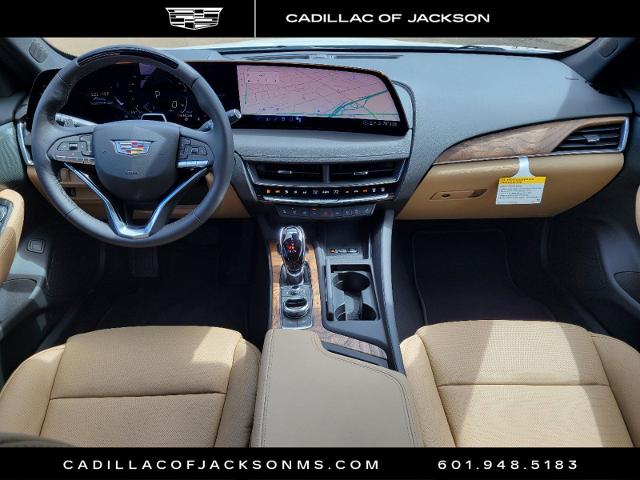 2025 Cadillac CT5 Vehicle Photo in RIDGELAND, MS 39157-4406